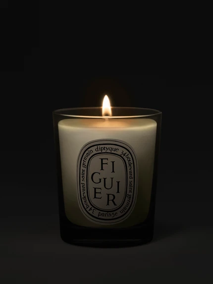 Figuier (Fig Tree) - Small Candle